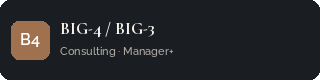 Big-4 / Big-3 Consulting