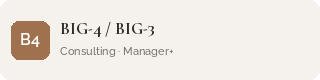 Big-4 / Big-3 Consulting
